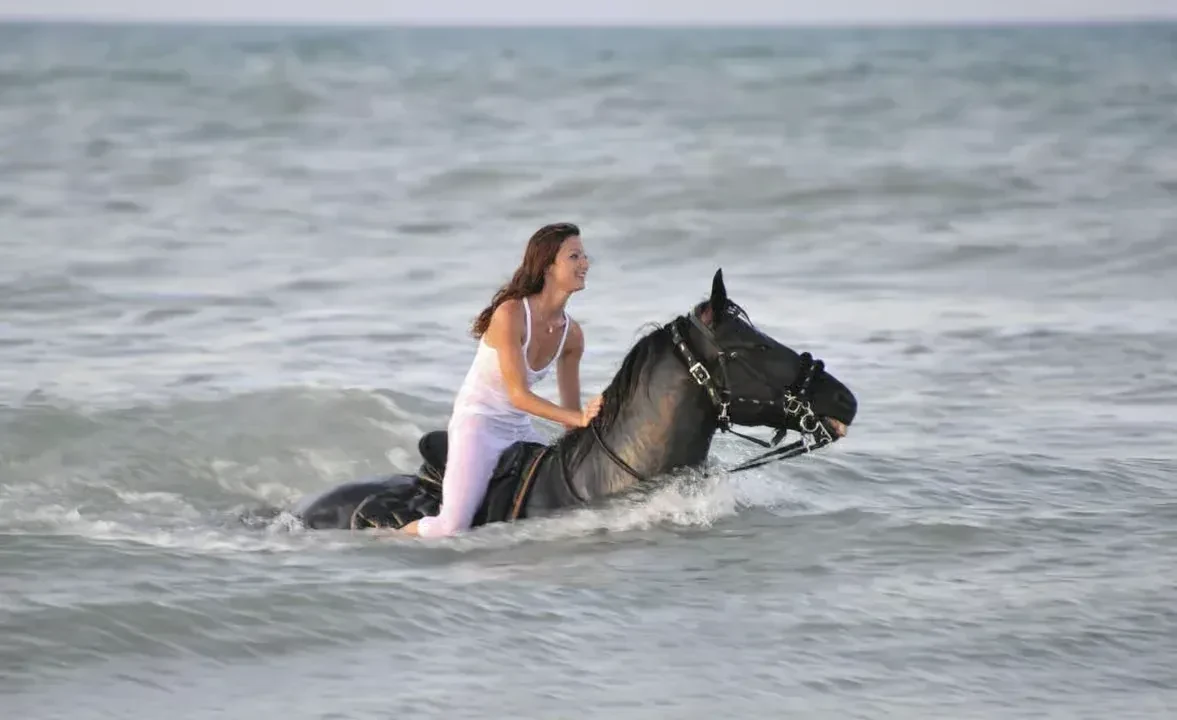 Horse Riding Safari – Desert or Sea — 4