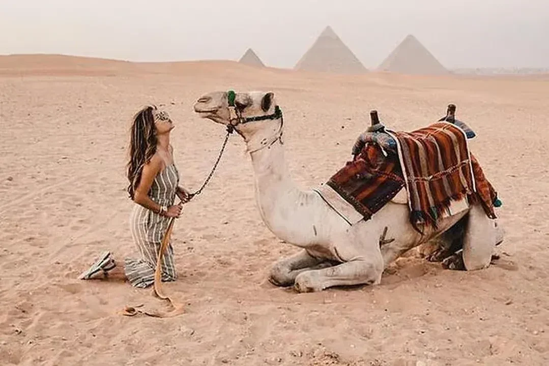 Cairo + NEW Grand Egyptian Museum (Bus) — 5