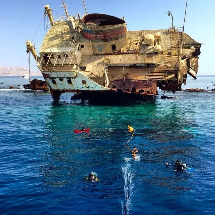 Private Speed Boat – Tiran Island — 7