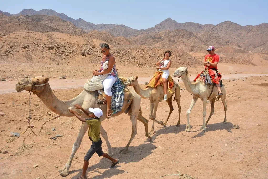 Camel Ride