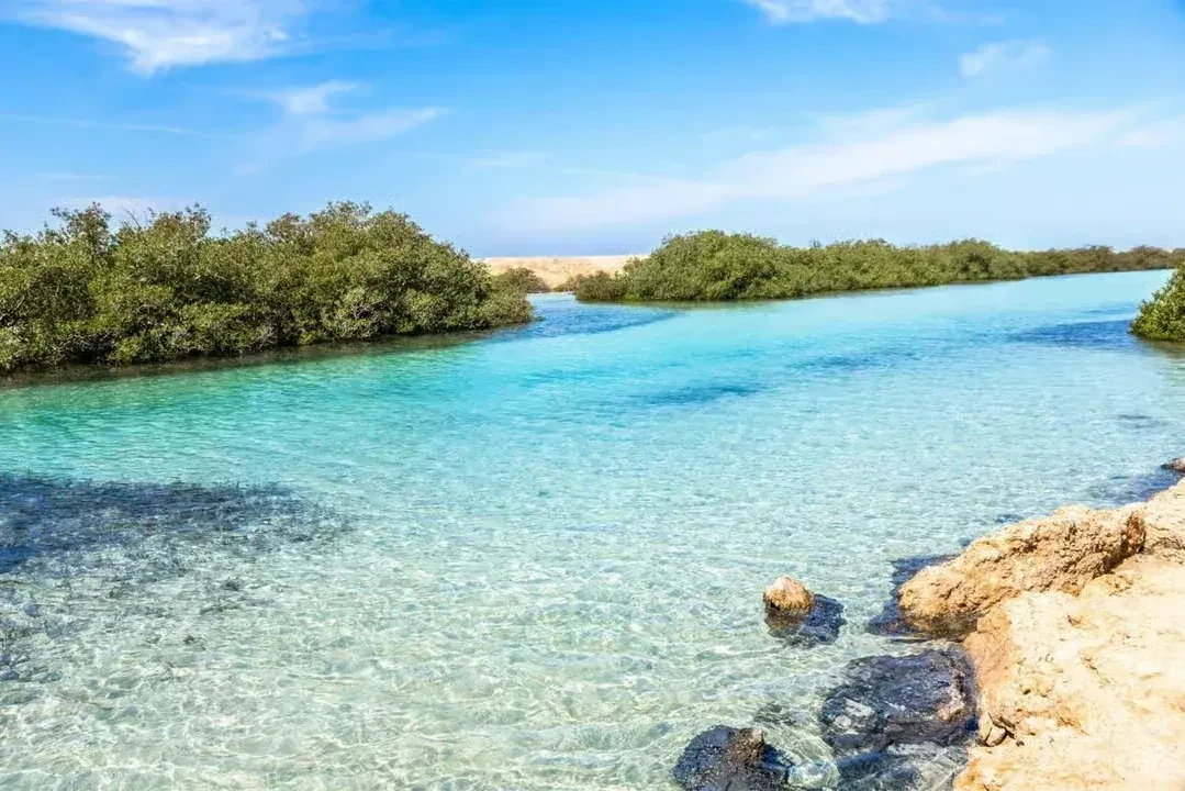 Ras Mohammed National Park – Half-Day Bus Tour — 3