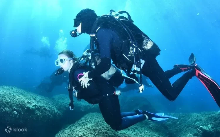 Intro Diving from the Beach in Sharm El Sheikh