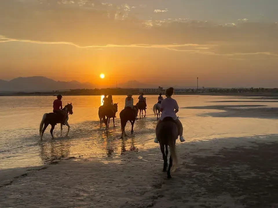 Horse Riding Safari – Desert or Sea — 8