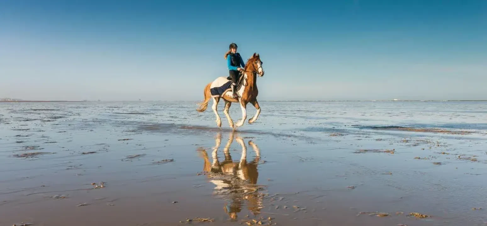 Horse Riding Safari – Desert or Sea — 9