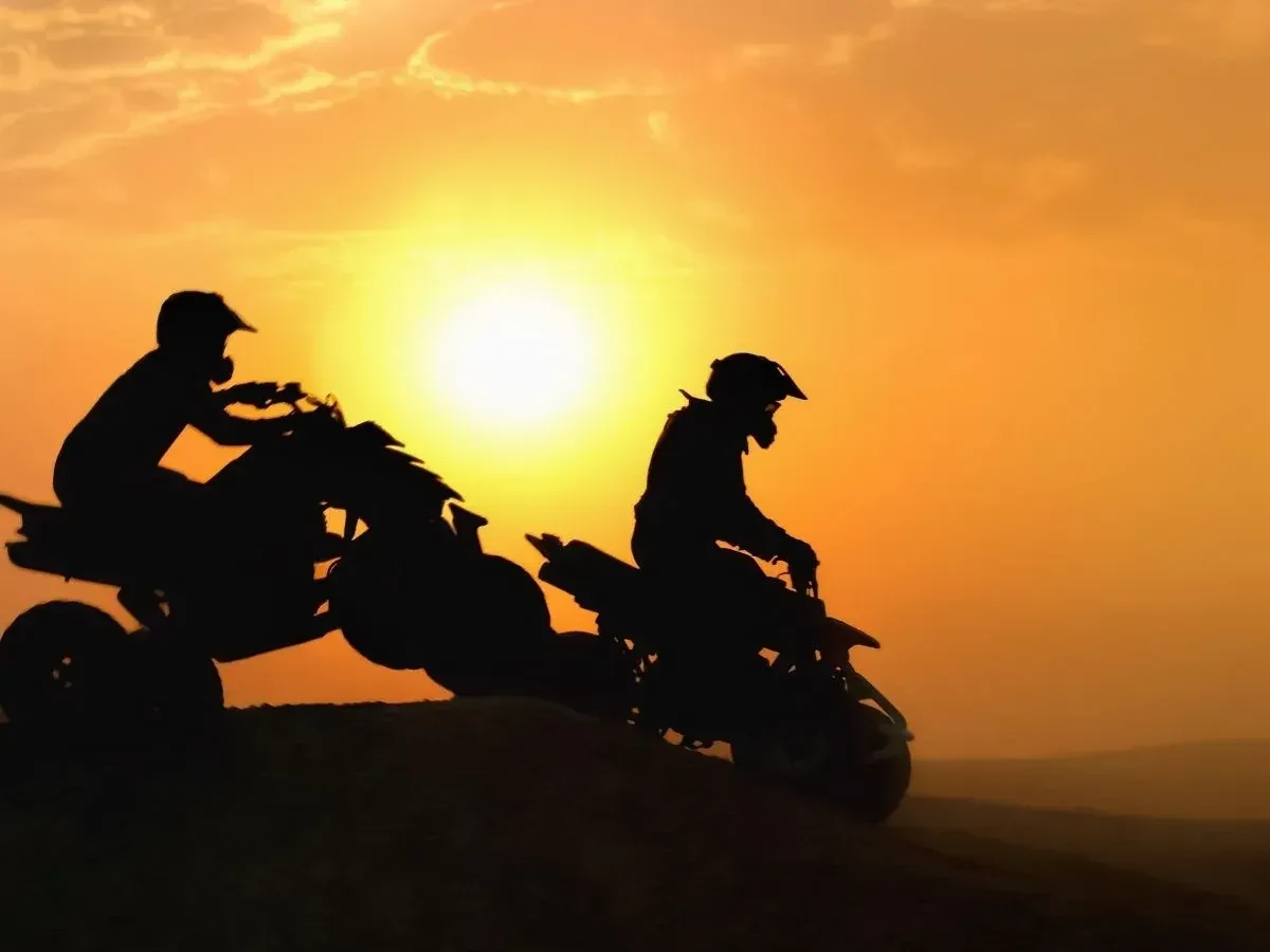 Super Safari Sunset Adventure