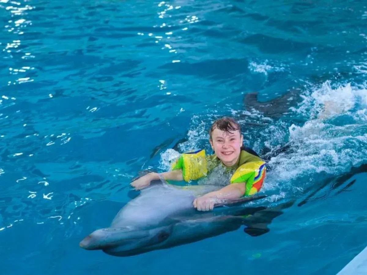 Swim with Dolphins