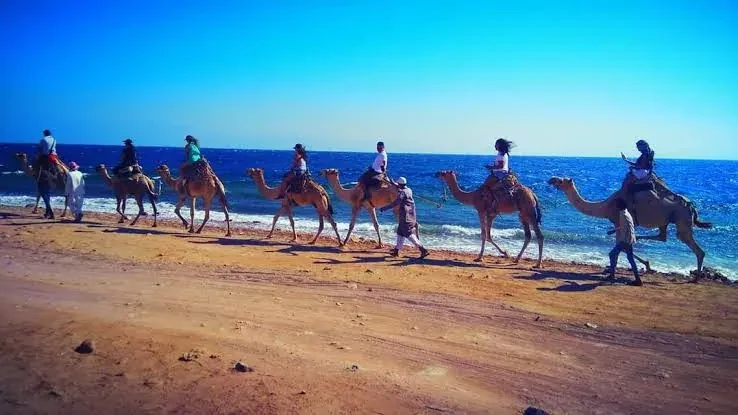 Dahab 5 in 1 Adventure – Salama Canyon — 1